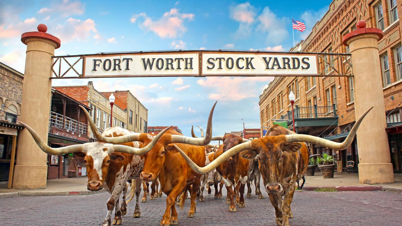 Artificial turf installation in Fort Worth, TX